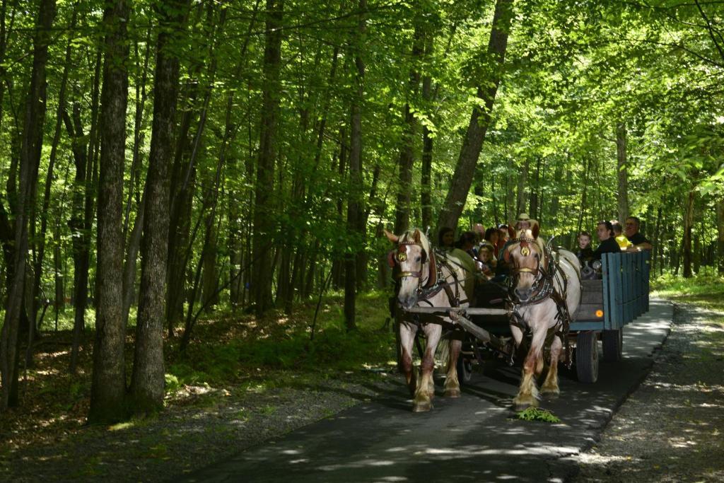 Woodloch Pines Resort Hawley Zewnętrze zdjęcie